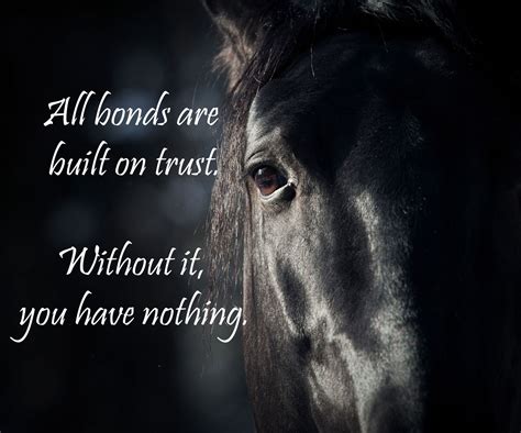The Horse and the Friend: A Dream of Trust and Acceptance